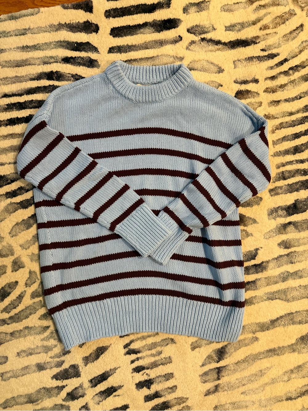 LOFT Baby Blue and Burgundy Striped Crewneck Sweater